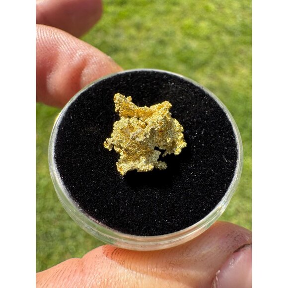 California Native Gold Crystal - 1.32 grams - Picture 5 of 7